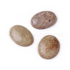 Natürliche fossile Korallen-Cabochons G-O184-05