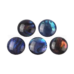 Natürliche Abalone-Muschel/Paua-Muschel-Harz-Cabochons SSHEL-K003-10MM-03