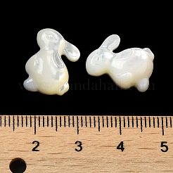 Natürliche weiße Muschel cabochons SSHEL-M022-15