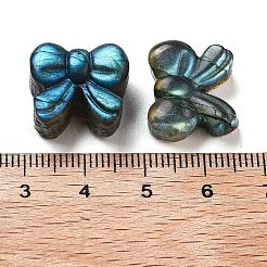 Natürlicher Labradorit geschnitzte Cabochons G-C152-02