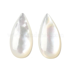 Natürliche weiße Muschel cabochons SSHEL-M022-04