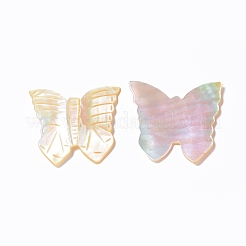 Natürlicher gelber Schal cabochons SSHEL-L016-009