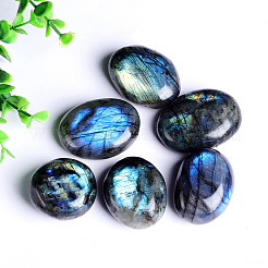 Natur Labradorit Cabochons G-PW0003-03A