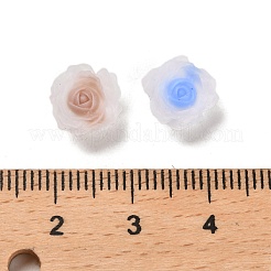 Leuchtende Decoden-Cabochons aus Harz RESI-K036-06K
