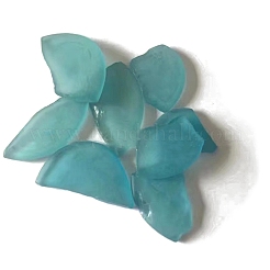 Glas cabochons PW-WG75383-01
