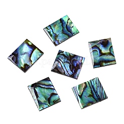 Natürliche Paua-Muschel-Rechteck-Cabochons SSHEL-T017-11