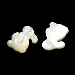 Natürliche weiße Muschel cabochons SSHEL-M022-15