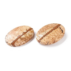 Natur Bildjaspisses cabochons G-D478-03D-01