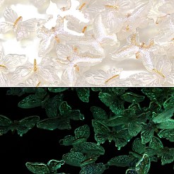 Leucht Harzcabochons CRES-R458-10A-01