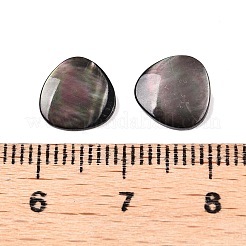 Natürliche schwarze Lippe Shell Cabochons SSHEL-T017-09