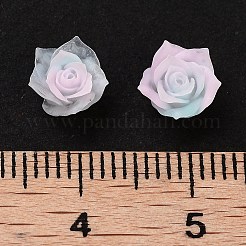 Leuchtende Decoden-Cabochons aus Harz RESI-K036-47