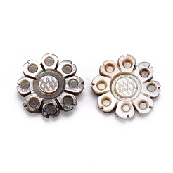 Natürliche schwarze Lippe Shell Cabochons SSHEL-T014-25