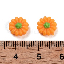 Leuchtende Decoden-Cabochons aus Harz RESI-K036-25