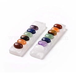 Chakra natürliche Selenit-Display-Dekorationen G-G973-10