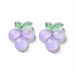 Herbstthema transparente Epoxidharz-Cabochons CRES-S365-09