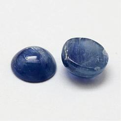 Kuppel natürliche Cyanit / Cyanit / Disthen-Cabochons G-O146-01A