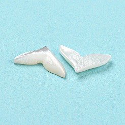 Natürliche Muschel-Cabochons SHEL-D079-26