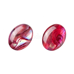 Paua Shell Cabochons SSHEL-C008-01