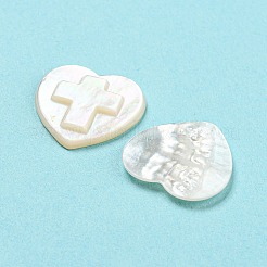 Natürliche Muschel-Cabochons SHEL-D079-18