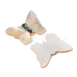 Natürliche weiße Muschel- und Paua-Muschel-Cabochons SSHEL-I026-27