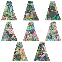 8 Stück natürliche Abalone Muschel/Paua Muschel Cabochons SHEL-BC0001-037C