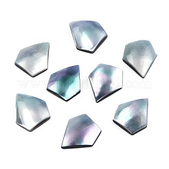 Natürliche Turbo Cornulus/Top Shell Cabochons SSHEL-N003-155A
