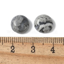 Naturstein-Cabochons G-Z075-06A