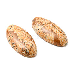 Natur Bildjaspisses cabochons G-E491-I-01A