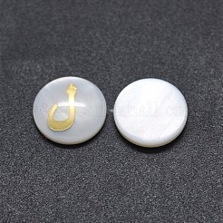 Shell Cabochons SSHEL-E568-A05