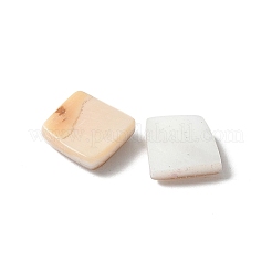 Natürliche weiße Muschel & rosa Muschel-Cabochons SSHEL-Z003-01