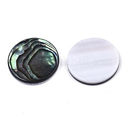 Natürliche Abalone Muschel / Paua Muschel Cabochons SSHEL-N034-72C-01