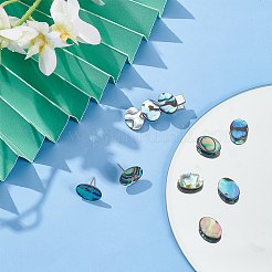 10 Stück natürliche Paua-Muschel-Cabochons FIND-BC0005-55