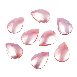 Natürliche Turbo Cornulus/Top Shell Cabochons SSHEL-N003-157B