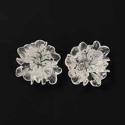 Transparente Harzcabochons X-RESI-G027-01A
