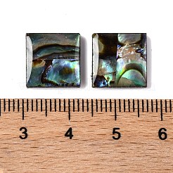 Natürliche Paua-Muschel-Epoxidharz-Cabochons SSHEL-S279-01H