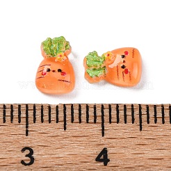 Cartoon-Cabochons aus transparentem Harz CRES-R459-01C