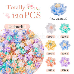 120 Stück 6 Farben undurchsichtige Harz-Cabochons CRES-TA0001-28