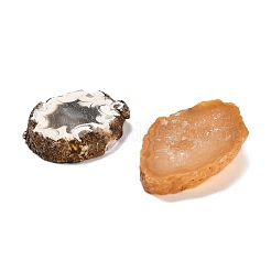 Natürliche druzy Achat Cabochon G-NH0001-09