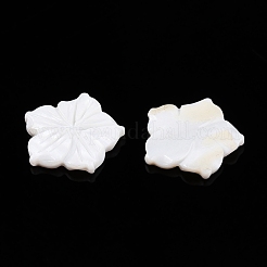 Natürliche geschnitzte Süßwassermuschel-Cabochons SSHEL-T017-03