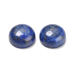Natürliche Lapislazuli Cabochons G-R474-010