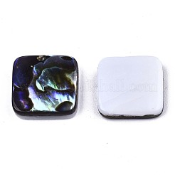 Natürliche Abalone Muschel / Paua Muschel Cabochons SSHEL-N034-75A-01