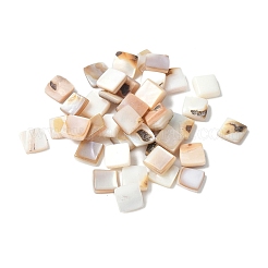 Natürliche weiße Muschel & rosa Muschel-Cabochons SSHEL-Z003-01