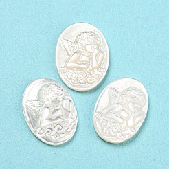 Natürliche Muschel-Cabochons SHEL-D079-22