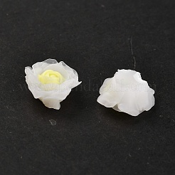 Leuchtende Decoden-Cabochons aus Harz RESI-K036-06E
