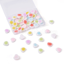 60 Stück 6 Farben Harz Cabochons Zubehör RESI-YS0001-06