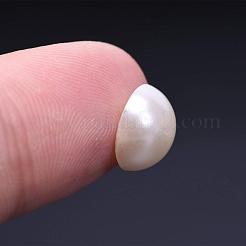 ABS Kunststoffimitation Perle Cabochons OACR-S019-01