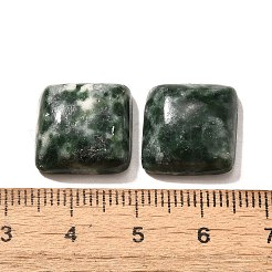 Natürliche grüne Jaspis-Cabochons G-I359-05