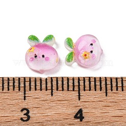 Cartoon-Cabochons aus transparentem Harz CRES-R459-01D