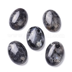 Natürliche schwarze Larvikit-Cabochons G-Z020-10