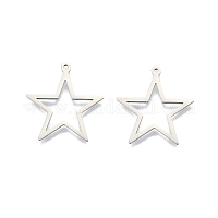 Подвески из нержавеющей стали 201&nbsp;STAS-N098-096P